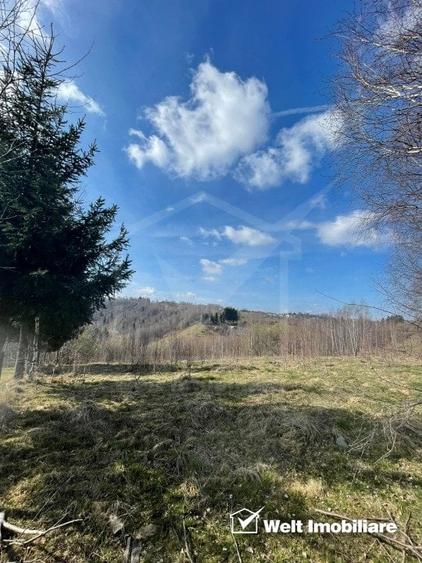 Teren cu panorama pentru cabana, Risca, Valea Fericirii - 1