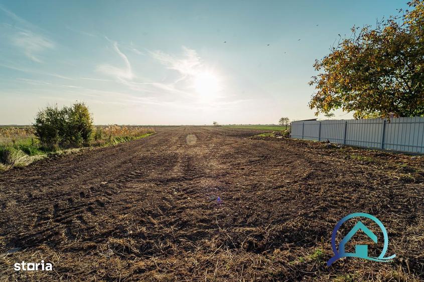 Teren 8 000 mp Arad Variasu Mare 47 000 se accepta plata in rate! - 3
