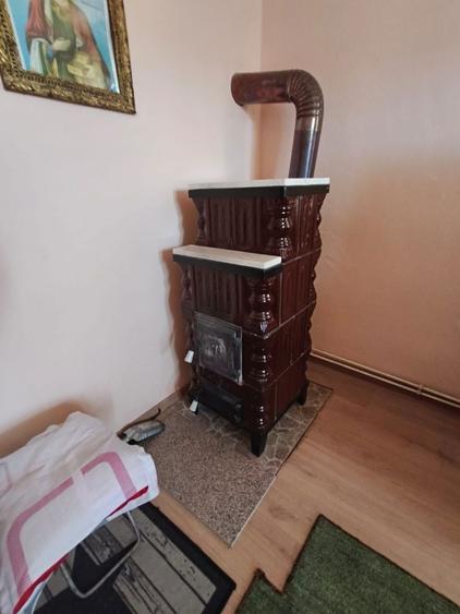 Casa cu gradina roditoare si teren 3000 m2 de vanzare Sacadate, Sibiu / House with Garden and 3000 m2 Land for Sale Sacadate, Sibiu - 2