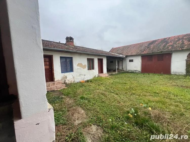 Casa individuala 5 camere 1439mp , curte, mobilata , Sintesti Timis - 4