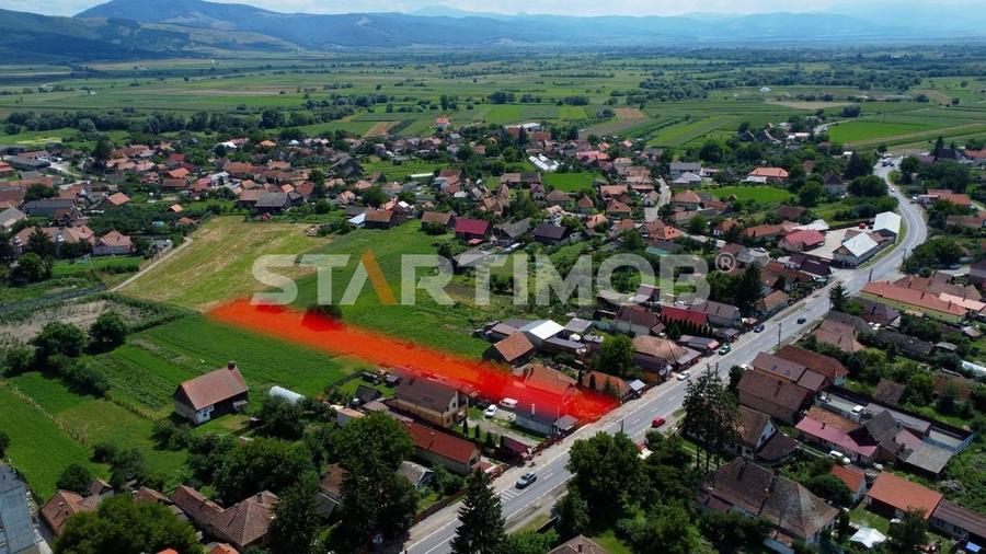 Casa cu teren Ozun - 29