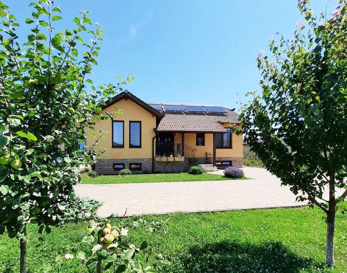 Vanzare casa noua in Sard -1000 mp teren - 1