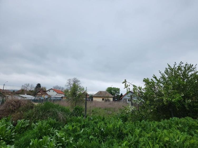 Casa + teren Rogova 7000mp - 1