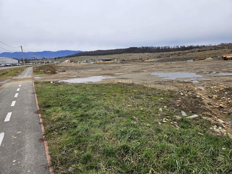 Teren intravilan de vanzare - 7