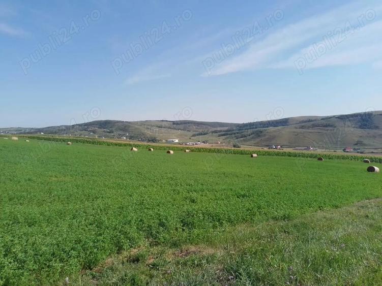 Chinteni 40 euro mp - 13