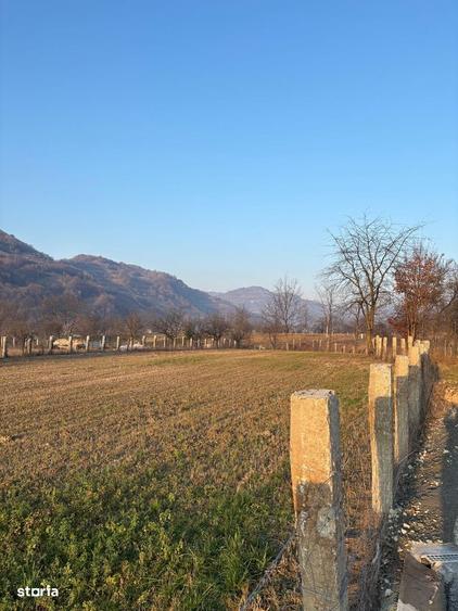 Teren intravilan de vanzare, 3111mp, acces asfaltat - 8