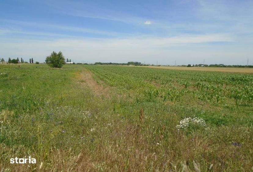 Teren de 10151 mp, în Mihăilești