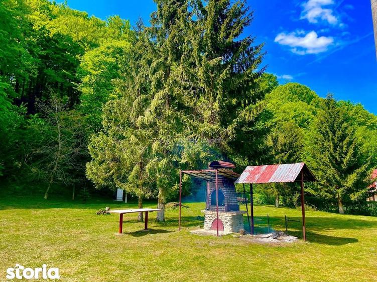 Casa de vacanta de vanzare Valea Avrigului - 1