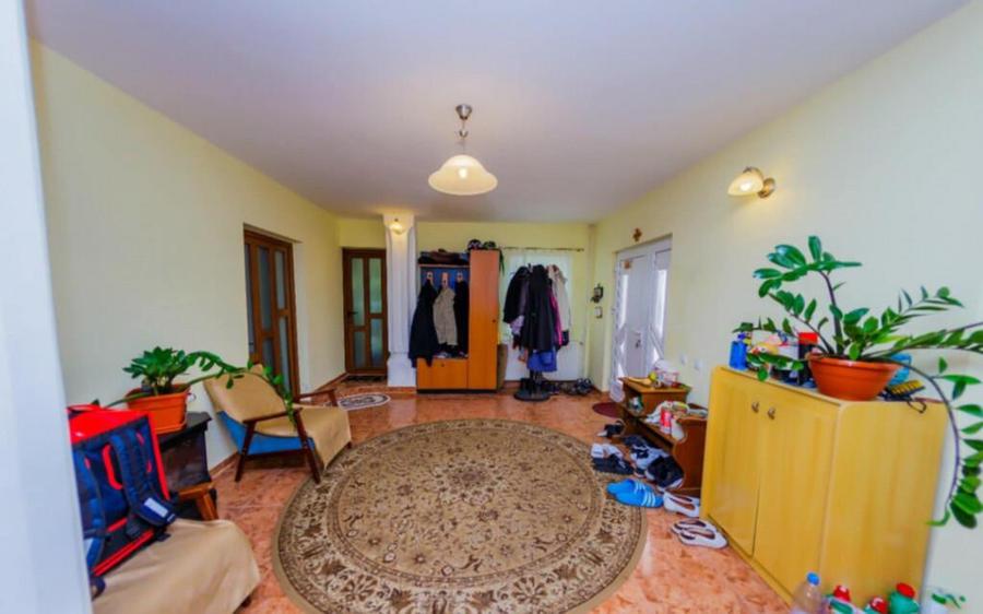CASA DE VIS SAU AFACERE DE SUCCES BAIA SPRIE - 13
