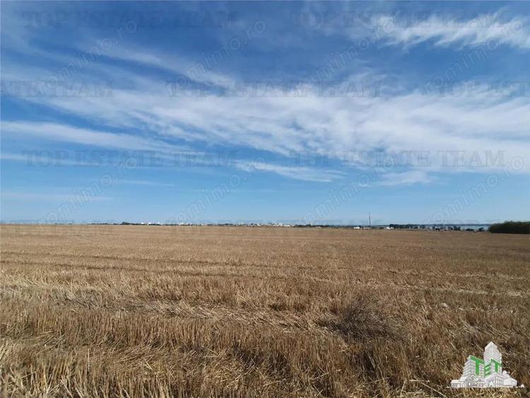 Teren Techirghiol - 4