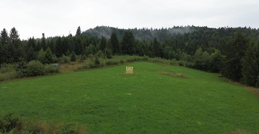 Teren 5023 mp In Bucovina Zona Manastirea Voronet De 07278 - 10