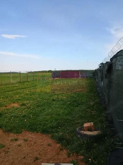 Teren cu constructie de vanzare in Urleta - 4