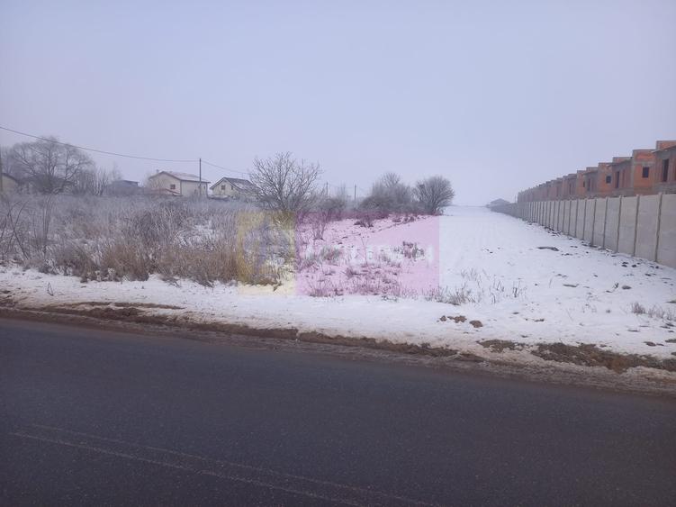 Teren Domnesti 12300 mp de vanzare sau asociere - 5