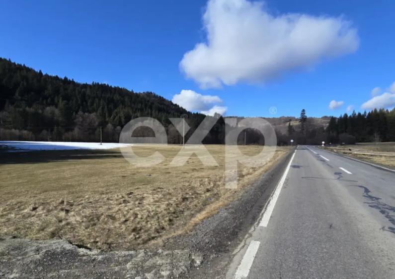 Teren extravilan 19.200 mp DN1A Sacele, Bradet | Front - 4