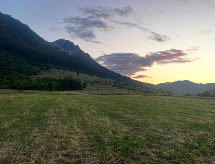 Teren intravilan 1000 mp zona Plaiul Foii cu PUZ si utilitati - 1