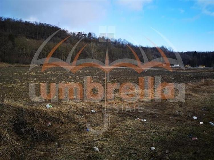 De vanzare in Gherla, Strada Hasdatii, 22.967mp - 3