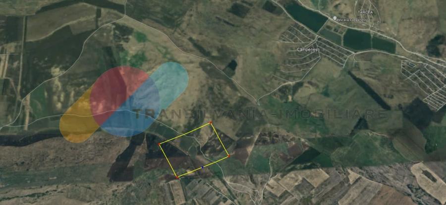 Teren Extravilan 39.867 Mp, zona Campenesti - 1