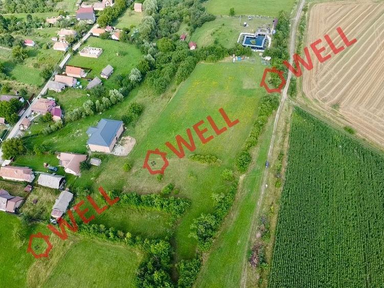 Teren intravilan de vânzare în Dalnic! - 6