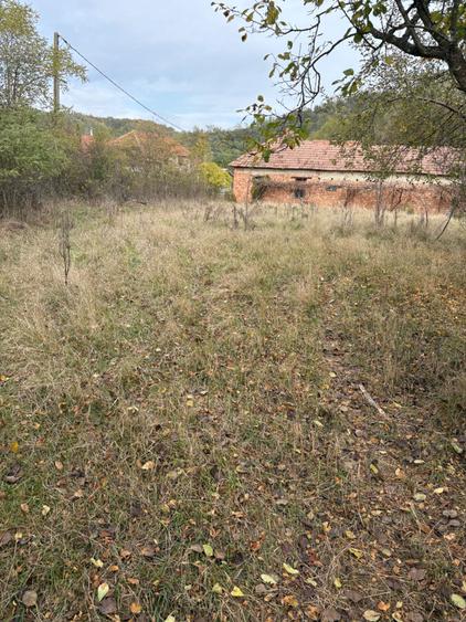 Vand teren constructie casa, sat Sarbesti, jud. Bihor, 20 euro m2 - 4