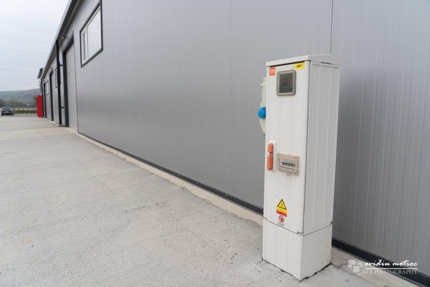 Hala 2022 singur la curte - 17