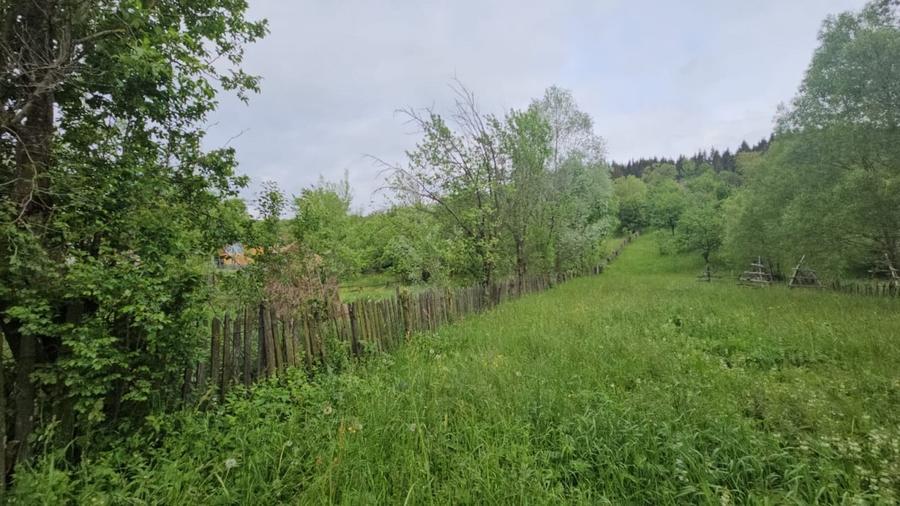 TEREN VANZARE VALEA DOFTANEI - 2