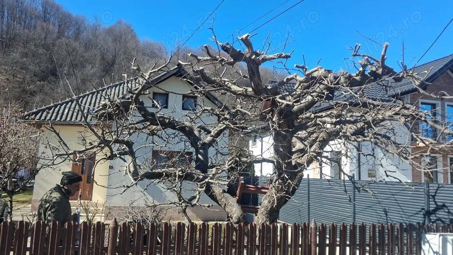 vanzare casa - 1