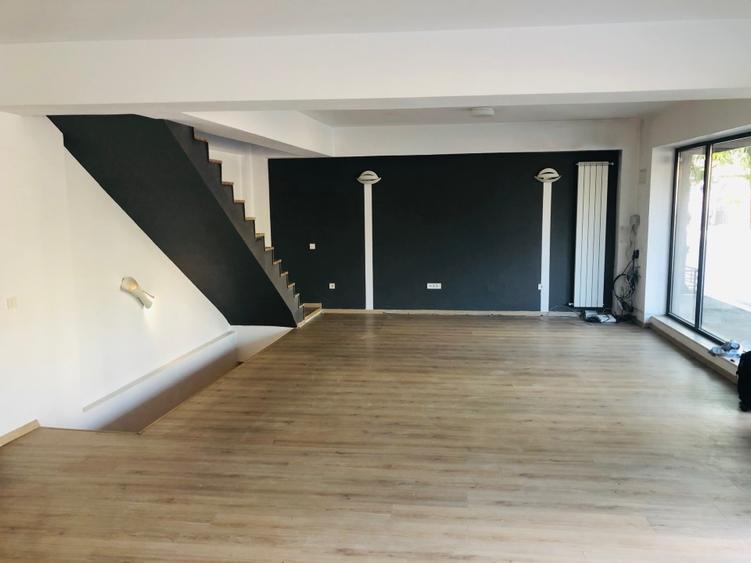  Ștefan cel Mare– Dacia P+E activitati comerciale - 1