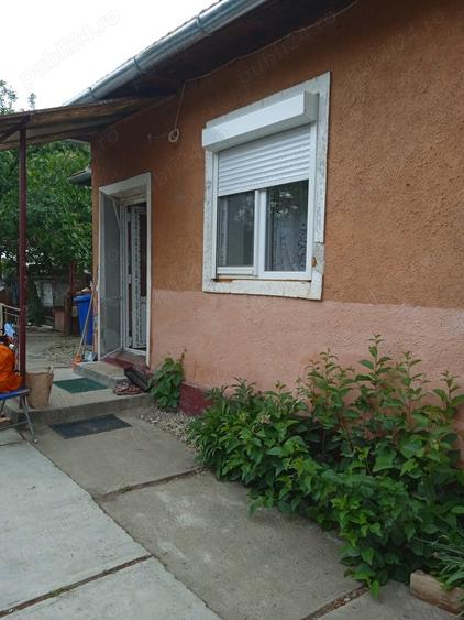 casa vanzare seleus - 5