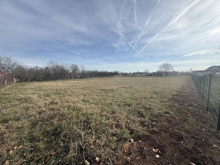 Teren intravilan Baicoi (Tufeni) - 1