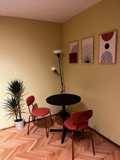 Apartament 2 camere de închiriat – Băneasa | Vilă | Curte - 3