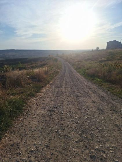 Teren extravilan Breazu-Tautesti - 2