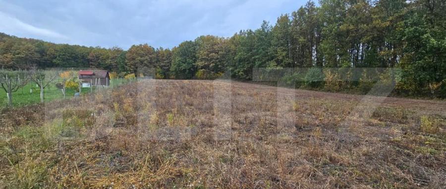 Teren intravilan parcelat - 2882 mp - Sat Bejan - 4