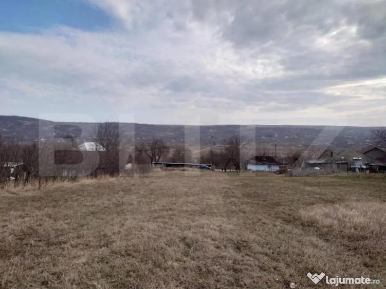 Teren intravilan 3712 mp + 2600 mp extravilan in Dobrovat - 3