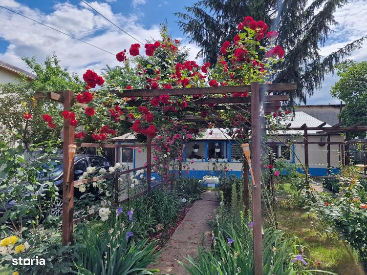 Teren ?i casa Militari Apusului - 6