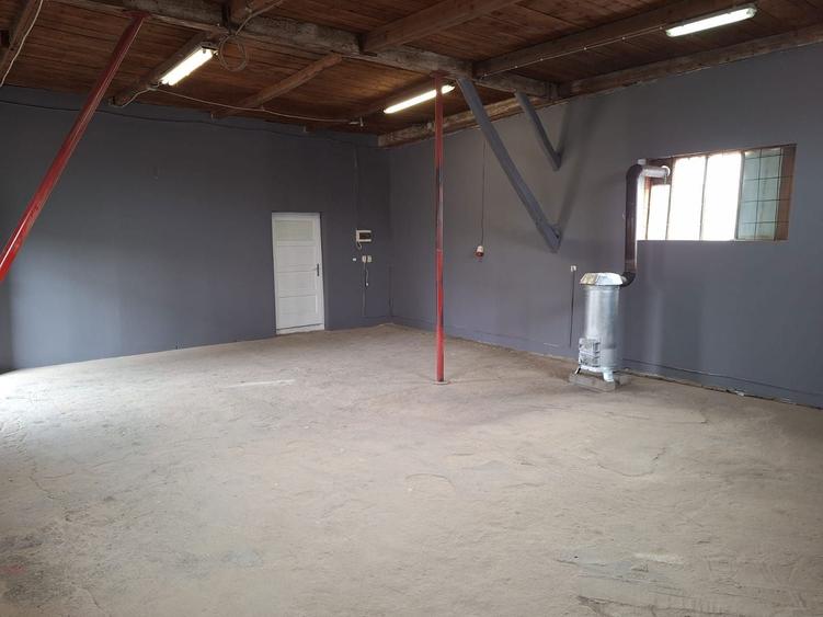 Inchiriez spatiu in Turnisor - 2