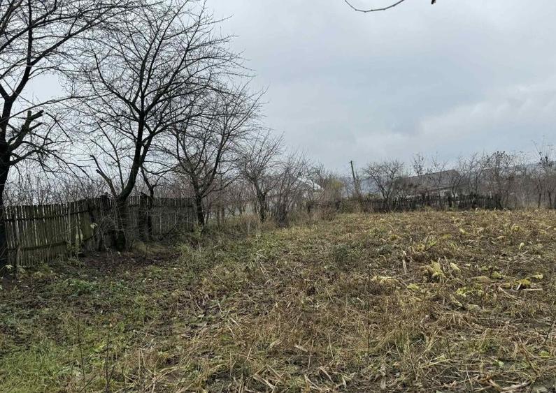 Teren Ultracentral in Rotunda - 1