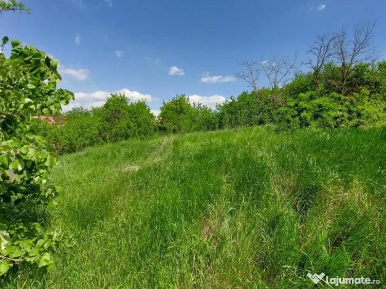 Teren intravilan 1490 MP Bratuleni Miroslava - 1