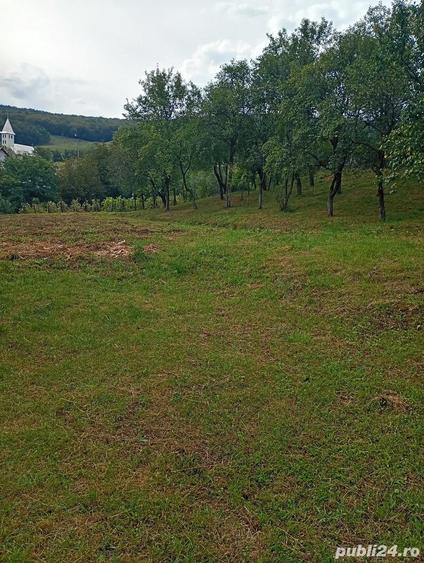 Casa tradi?ionale - 4