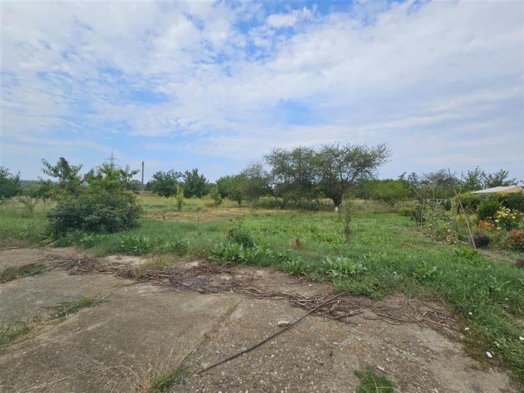 TEREN DE VANZARE INTRAVILAN IN ZONA INDUSTRIALA 10000 mp Onesti - 6