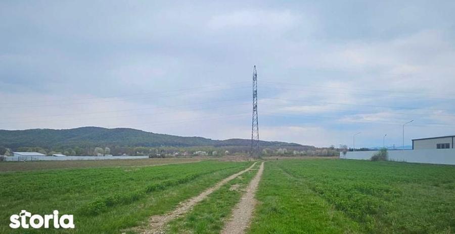 Teren de vanzare Targu Neamt - 3