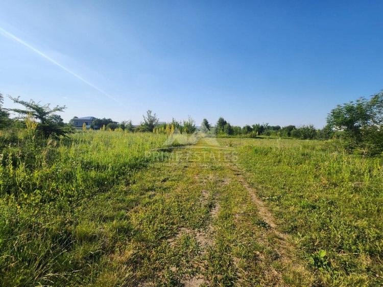 Oportunitate achizitie 2000 mp de teren intravilan - Sector 1 Greenfield - 3