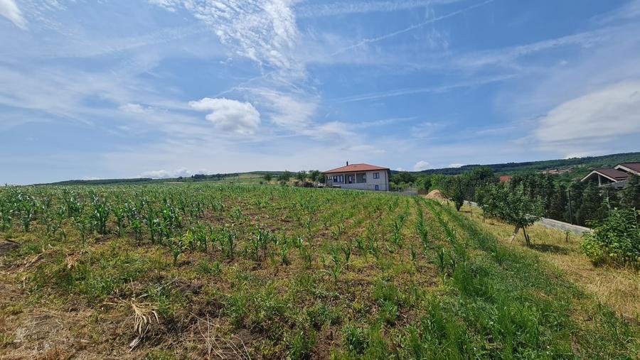 Teren Intravilan 1846 mp Casa | Duplex - 4