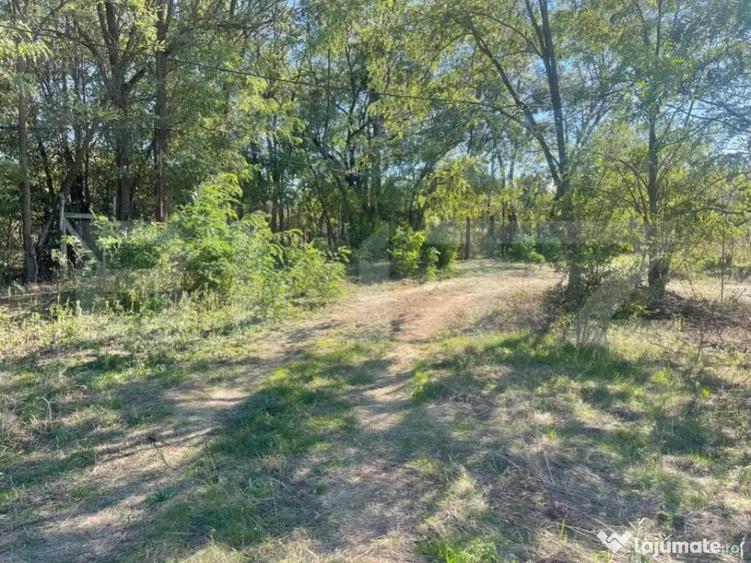 Teren Intravilan de vanzare, 900mp, Turcinesti - 5