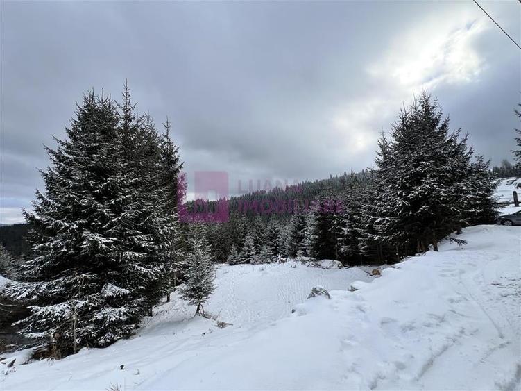 Afacere la cheie | Vila de 3 stele | Paltinis | amenajata complet - 13