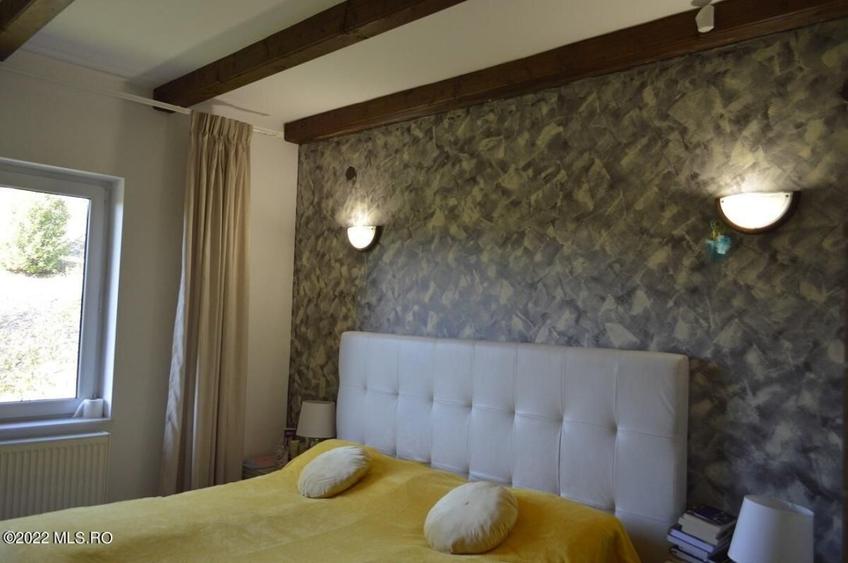 Topoloveni - Conacul Ion Mihalache, Domeniu pe 5 Hectare! - 26