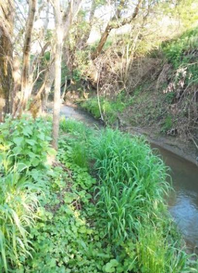 Casa de vanzare, Chiheru de Jos - 3