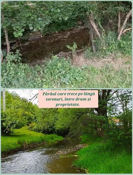 Casa+ teren de vanzare - 4