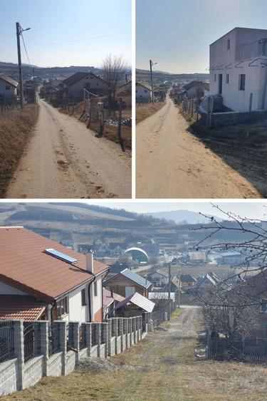 Teren intravilan Sura Mare 504mp - 6