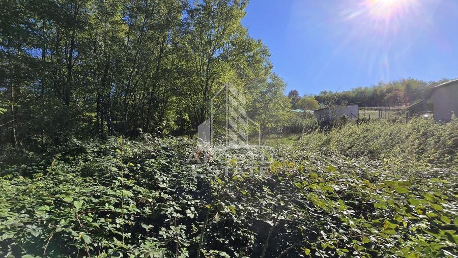 Teren Intravilan Cuied 3260 mp Comision Zero % - 1