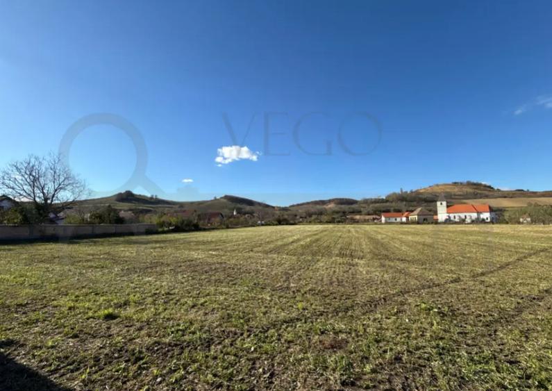 Teren intravilan de vanzare in Alma jud. Sibiu 7.342 m - 3